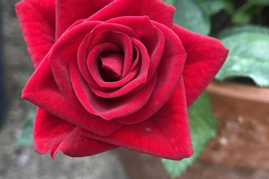 Pensée du 23 mai 2026