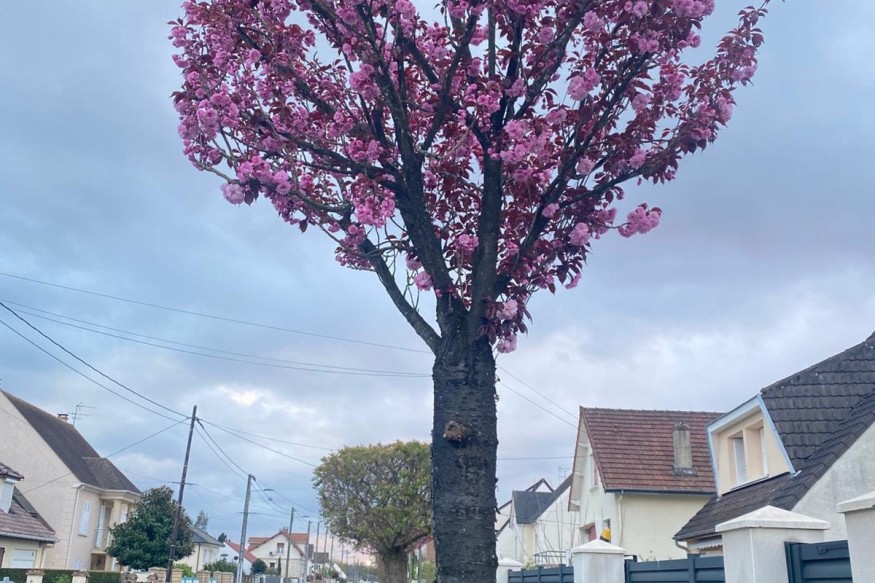 Pensée du 4 avril 2026