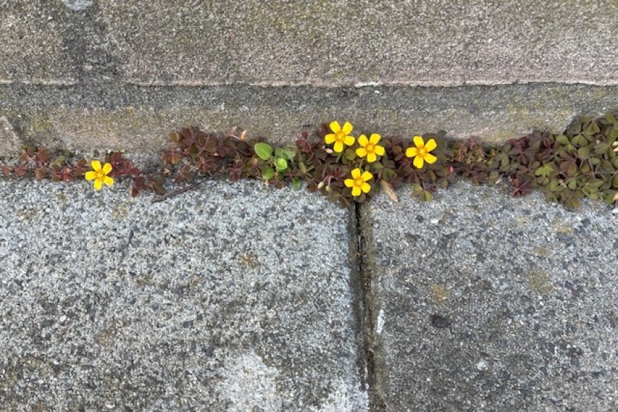 Pensée du 22 avril 2026